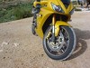 DSC04554.JPG