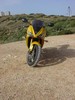 DSC04555.JPG