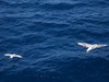 100_0310.JPG