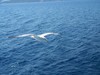 100_0315.JPG