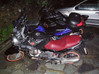 PB260099.jpg